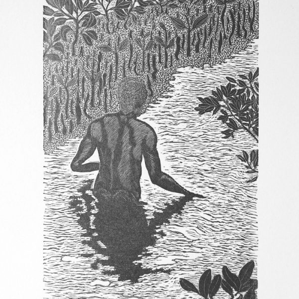 Black & white print of a man wading in mangrove swamp by Allan Gale