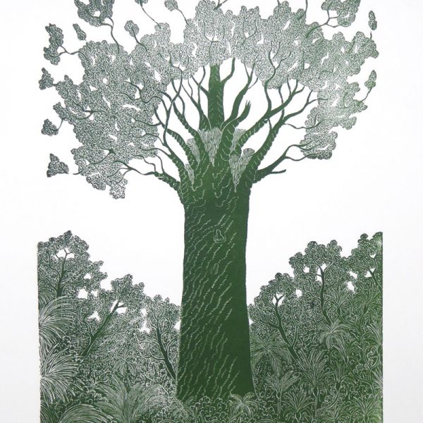 Print of a large tree called 'Tane Mahuta' by Allan Gale