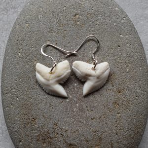 Sharktooth earrings