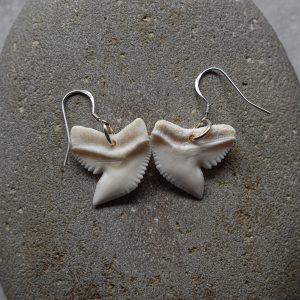 Sharktooth earrings