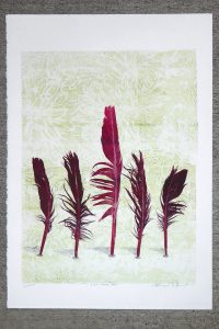 Print of five red feathers by Sheyne Tuffery