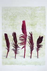 Print of five red feathers by Sheyne Tuffery