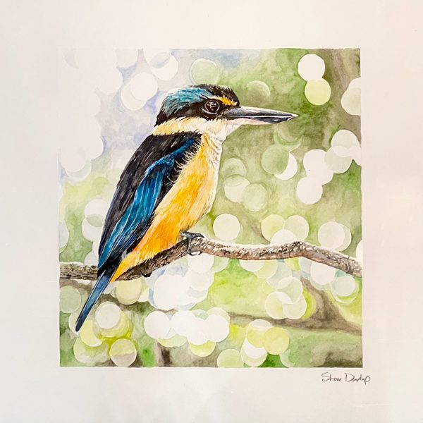 Steve Dunlop - "Kotare" - Image 2